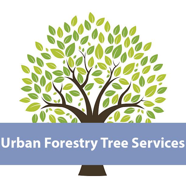Urban Forestry Tree Services