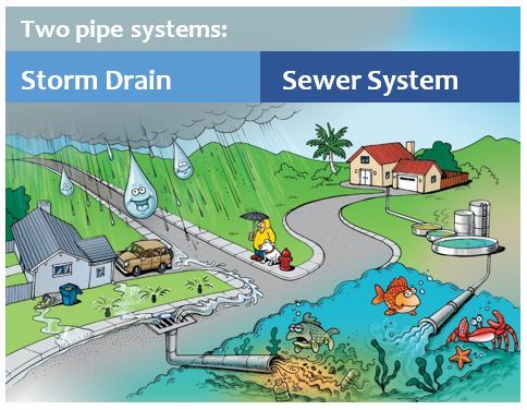 Two Pipe Systems: Storm Drain and Sewer System