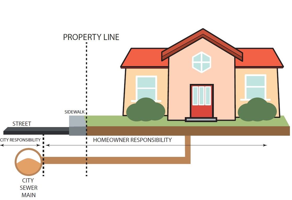Lateral Line Diagram